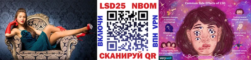 дарнет шоп  Зеленокумск  Наркотические марки 1,8мг 