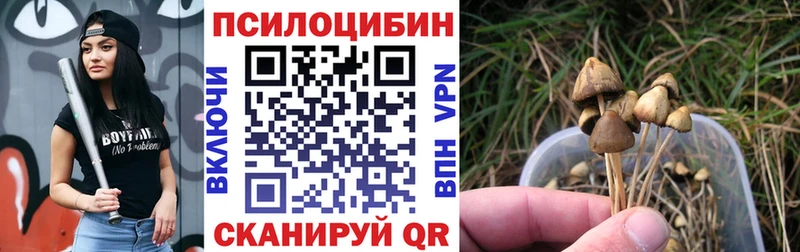 Галлюциногенные грибы Magic Shrooms Зеленокумск